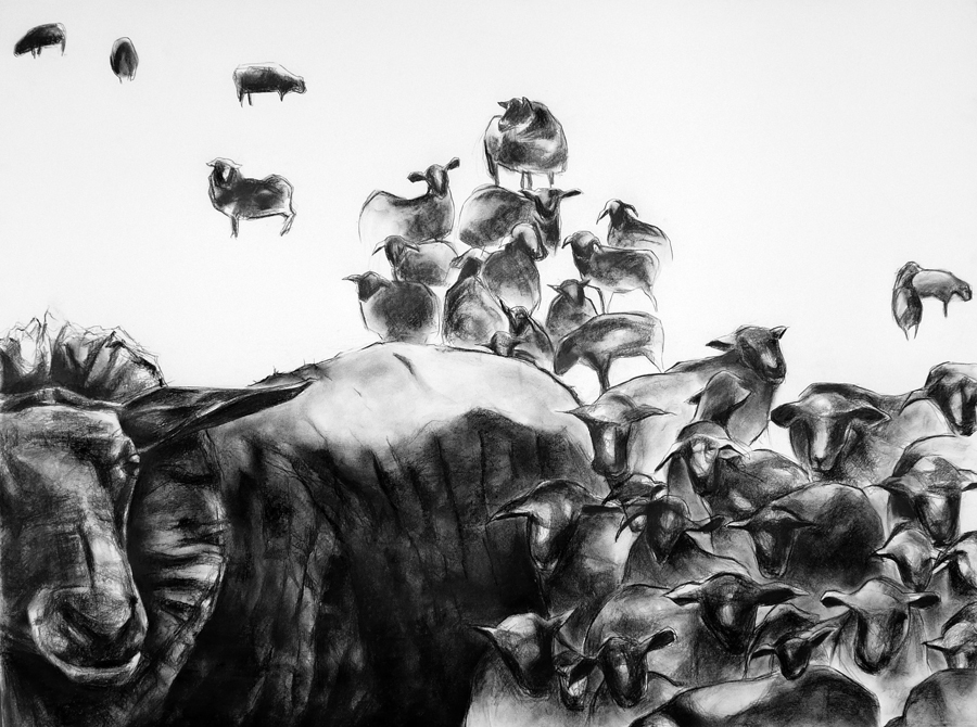 Charcoal image of a herd of lambs